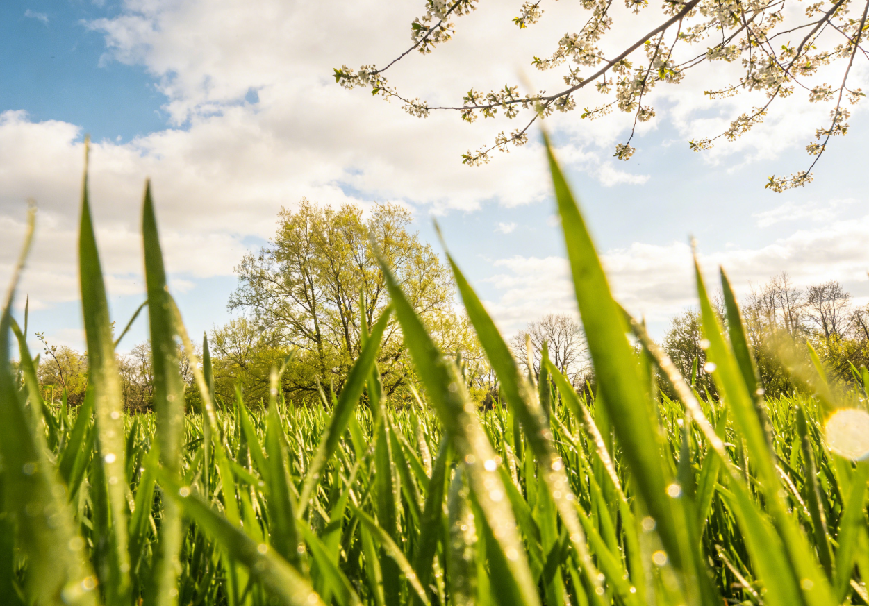 惊蛰｜春雷敲醒“休眠体”