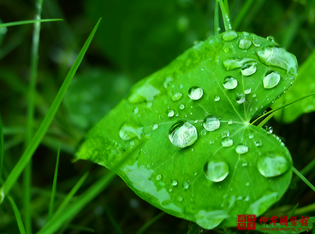 秋季雨后湿气重?一碗温汤驱湿寒,脾胃暖了,秋冬少生病