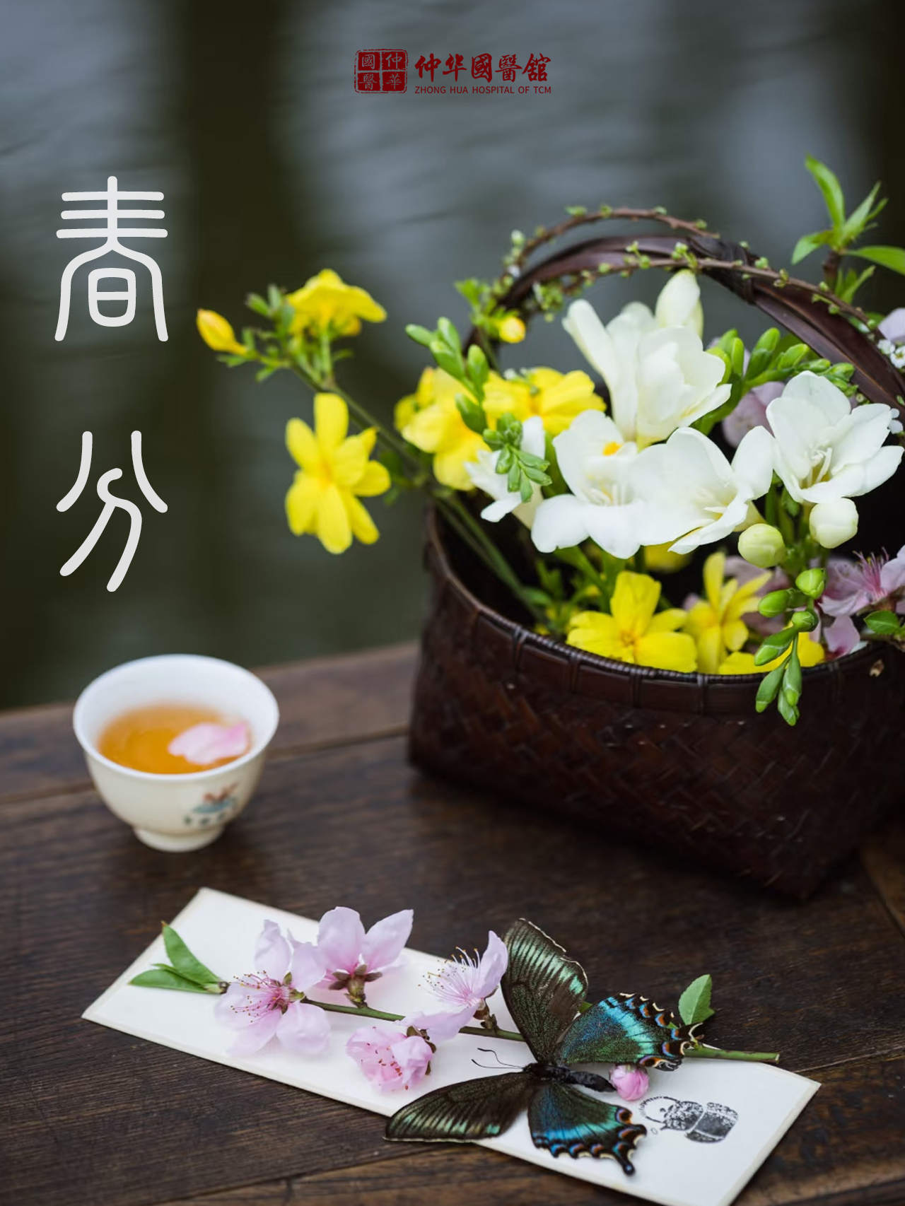 春分到|养生时