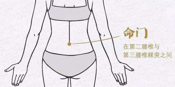 春夏养阳三伏先行,排浊祛湿,安稳过秋冬