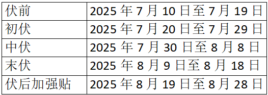 头伏至，仲华国医馆里暖意浓 —— 三伏贴与火龙灸的忙碌时光