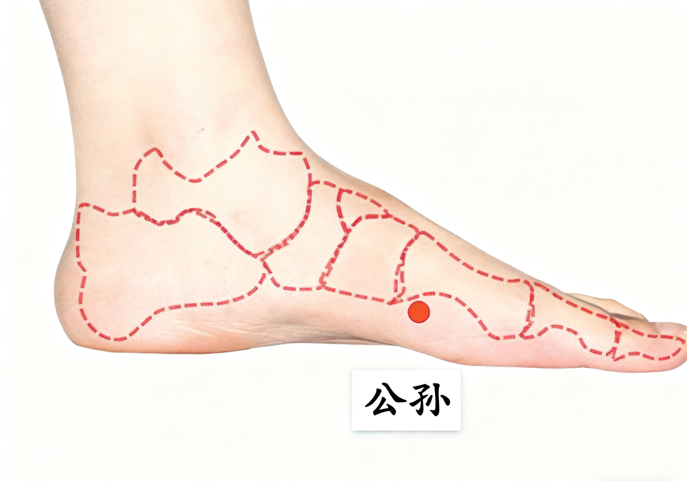 双节过后,脾胃 “罢工”?几个方法拯救你的 “玻璃胃”