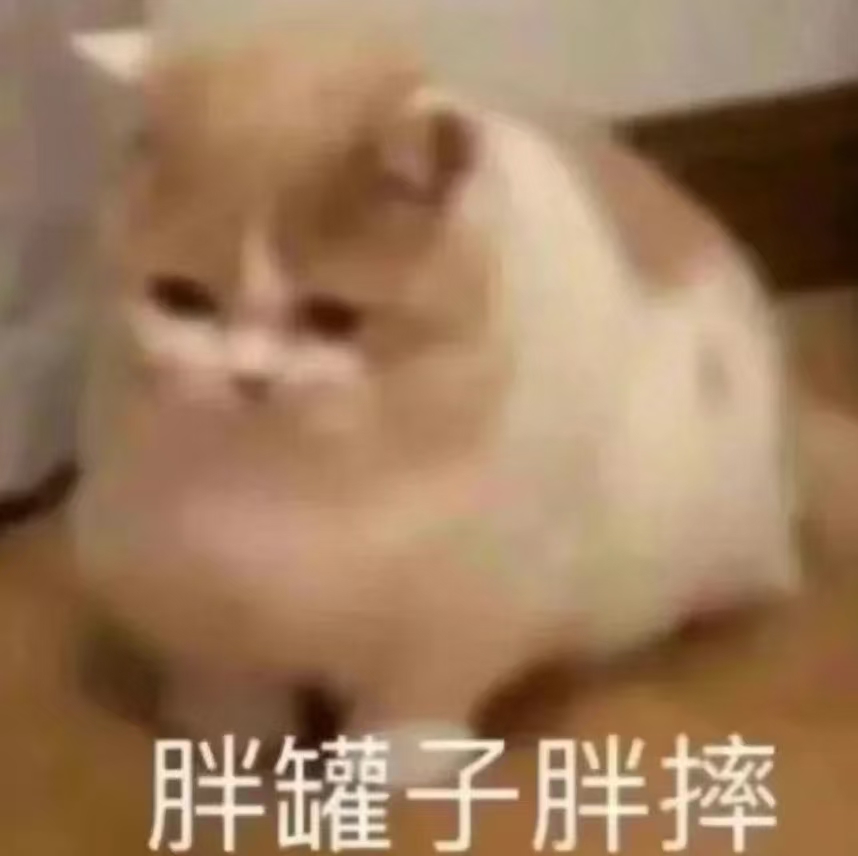 上班后工位竟是 “养猪场”?中医:是“远古记忆” 觉醒了