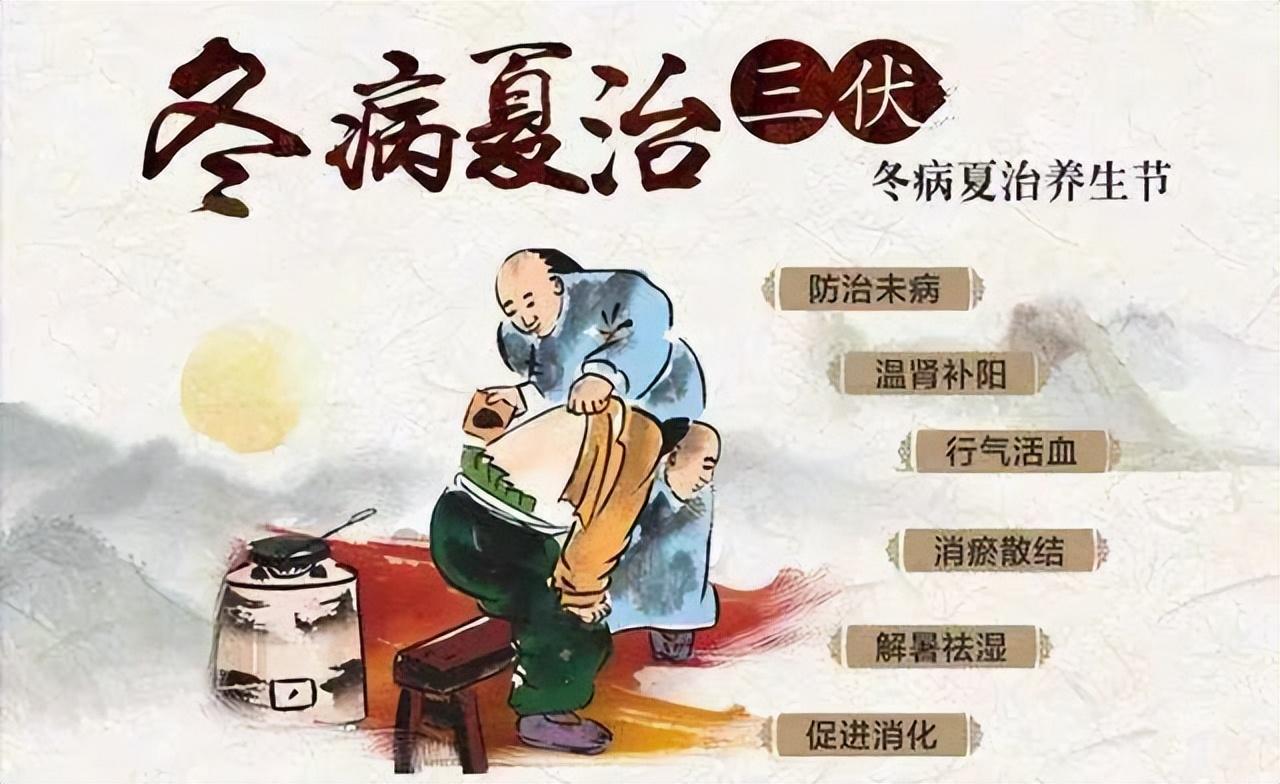 解锁三伏天养生密码，错过等一年！