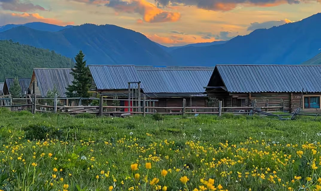 秋季流感总反复?中医教你顺时养正气,远离时邪侵扰