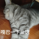 流感比感冒猛 10 倍?这份防护指南全家必藏