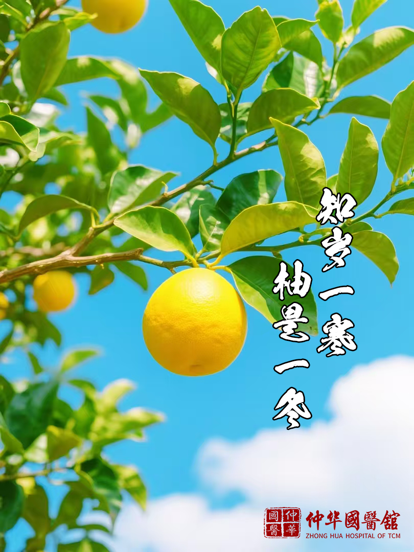 中医喊你吃柚子啦！